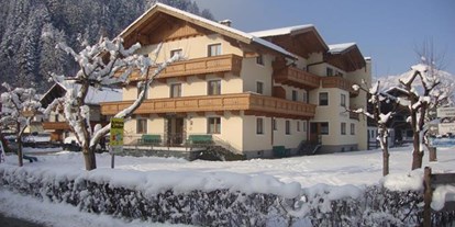 Pensionen - Spielplatz - Mayrhofen (Mayrhofen) - Gästehaus Schwoagerhof