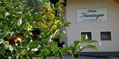 Pensionen - Umgebungsschwerpunkt: Therme - Pongau - Haus Traninger