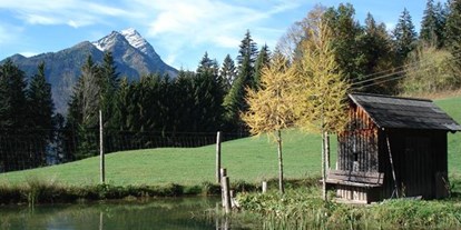 Pensionen - Umgebungsschwerpunkt: Berg - Rottenmann - Bio- Ferienhof Kreilgut
