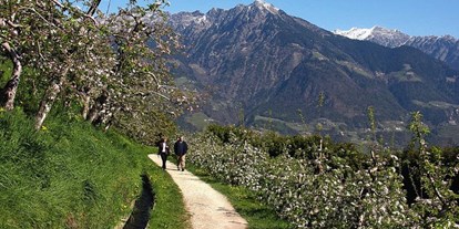 Pensionen - Kühlschrank - Trentino-Südtirol - Die Umgebung von Algund bietet Wanderwege für alle Ansprüche. 160 km Waal- und Spazierwege wurden zur Mereraner Waalrunde zusammengeschlossen und Plars/Töll ist der Ausgangspunkt für die Wanderungen. Unvergessliche Bergtouren im Naturpark Texelgruppe. Selbstverständlich gibt es auch jeden Mittwoch geführte Wanderungen (organisiert mit einem Wanderexperten vom Touristikbüro Algund) Einige Wanderwege erreichen Sie vom Haus aus, oder kostenl. mit dem Bus mit der AlgundCard. Neu: Abendbus bis 22 Uhr - Pension Plarserhof