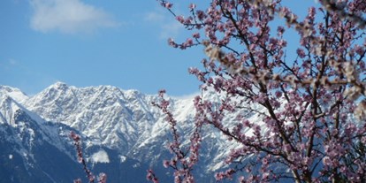 Pensionen - Balkon - St. Leonhard im Passeiertal - Schnee und Blumen im Frühling! - Pension Sonnheim