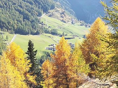 Pensionen - Garten - Lana (Trentino-Südtirol) - Pension  Trausberg **