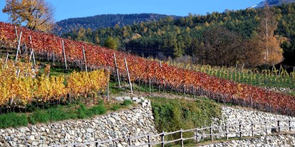 Pensionen - WLAN - Eisacktal - Herbstfärbung der Weinreben - Haus Karin ***