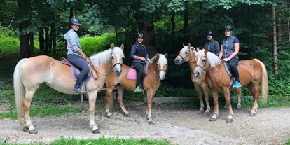 Pensionen - Parkplatz: kostenlos bei der Pension - Wiesing (Wiesing) - PFERDE
Unsere Pferde sind sehr rücksichtsvoll und lieben es Ausreiten zu gehen. - Ferienpension Am Haflingerhof