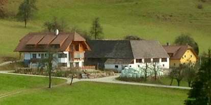 Pensionen - Umgebungsschwerpunkt: Berg - Losenstein - Ferienhof Hintergrabenbauer