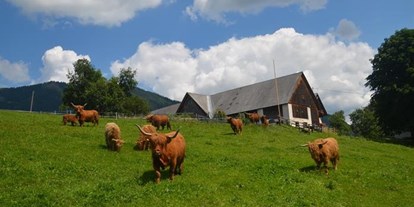Pensionen - Art der Pension: Urlaub am Bauernhof - Hinterstoder - Baby- und Kinderbauernhof Zamsegg
