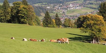 Pensionen - Hunde: hundefreundlich - Salzburg - Ferienwohnungen Veitlbauer