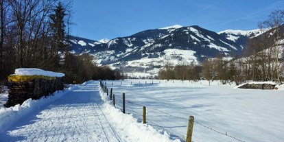 Pensionen - WLAN - Aurach bei Kitzbühel - Winterspaziergang in Uttendorf - Pension zu Hause