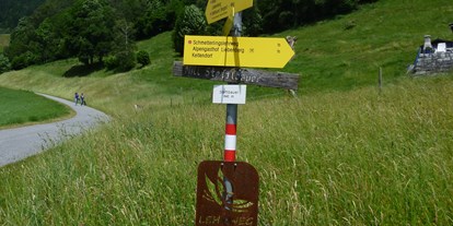Pensionen - Terrasse - Viehhofen - Wanderschuhe anziehen und einfach gehen. Gelbe Tafeln mit Wanderwege findet man überall in der Gegend - Pension zu Hause