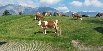 Pensionen - Art der Pension: Urlaub am Bauernhof - Kirchbichl - Ferienbauernhof Waldschönau