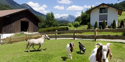 Pensionen - Hunde: hundefreundlich - Itter - Biobauernhof Vordermühltalhof