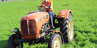 Pensionen - Art der Pension: Urlaub am Bauernhof - Mariapfarr - Biobauernhof Tonimörtl