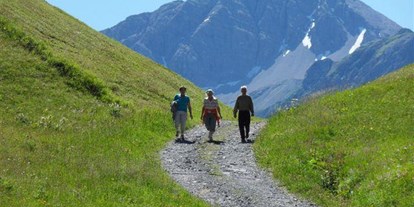 Pensionen - Kühlschrank - Vorarlberg - Haus Alpenblick