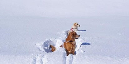 Pensionen - Hunde: hundefreundlich - Dalaas - Alpina Appartements