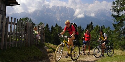 Pensionen - Umgebungsschwerpunkt: Berg - Flattach - Mountainbikerunde Lienzer Hütte  - Gästehaus Steinerhof