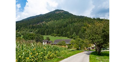 Pensionen - Wanderweg - Mallnitz - Der Blick auf den Hof - Haus Brunner - Ferienwohnung im Hühnerhotel
