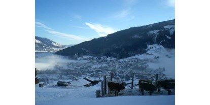 Pensionen - Umgebungsschwerpunkt: Berg - Hohe Tauern - Unsere Kühe  - Oberaigenhof Ferienwohnungen Kaprun 