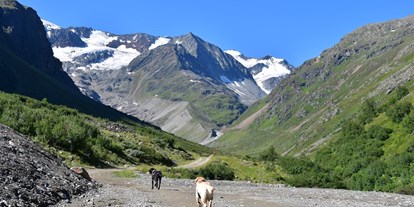 Pensionen - Umgebungsschwerpunkt: Berg - Ried im Oberinntal - Pension Alpin