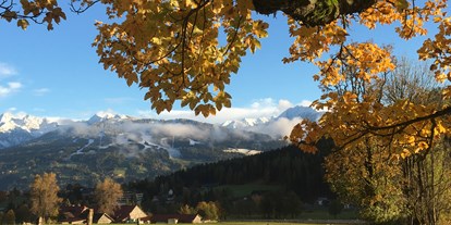 Pensionen - barrierefreie Zimmer - Steiermark - goldener Herbst  - Bio-Bauernhof Simonbauer
