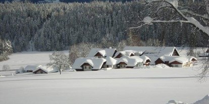 Pensionen - Langlaufloipe - Ramsau am Dachstein - hintere Nord-Winter Ansicht - Bio-Bauernhof Simonbauer