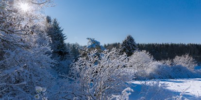 Pensionen - Umgebungsschwerpunkt: Berg - Rheinland-Pfalz - Auch im Winter ein Erlebnis - der Hochwald - Landhaus HEIMISCH
