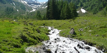 Pensionen - Umgebungsschwerpunkt: Berg - Landeck - Natur  - Gasthof Alpenblick