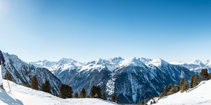 Pensionen - Art der Pension: Ferienwohnung - Tiroler Oberland - Skifahren in Hochoetz - Ferienwohnung der Veitenhof Niederthai Ötztal - Bio & Reiterhof der Veitenhof