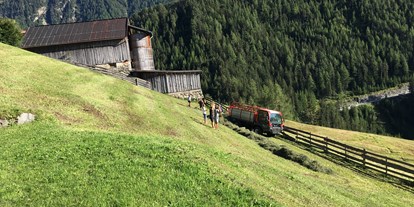 Pensionen - Fahrradverleih - Fulpmes - Appartements Biobauernhof der Veitenhof Heuernte Sommer Niederthai im Ötztal in Tirol  - Bio & Reiterhof der Veitenhof