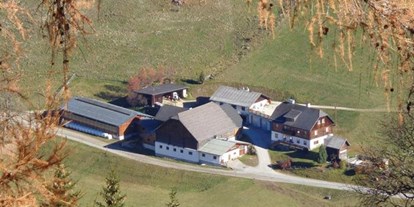 Pensionen - Umgebungsschwerpunkt: am Land - Aich (Aich) - Lacknerhof