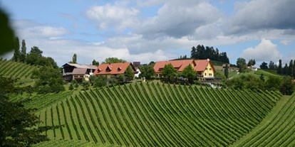 Pensionen - Frühstück: Frühstücksbuffet - Süd & West Steiermark - Weingut Fellner