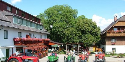 Pensionen - Umgebungsschwerpunkt: am Land - Bad Mitterndorf - Hotel Pension Camping Pürcherhof