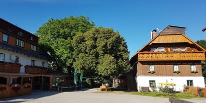 Pensionen - Garten - Pruggern - Hotel Pension Camping Pürcherhof