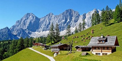 Pensionen - Art der Pension: Urlaub am Bauernhof - Ramsau am Dachstein - Brandhof am Dachstein