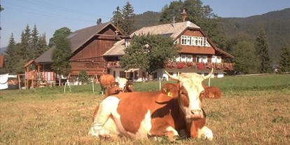 Pensionen - Art der Pension: Urlaub am Bauernhof - Ramsau am Dachstein - Steinbauer