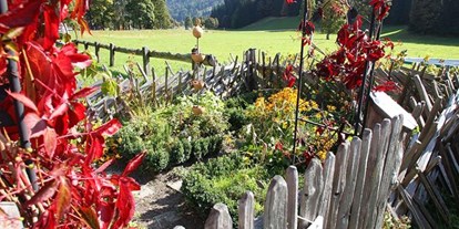 Pensionen - Art der Pension: Urlaub am Bauernhof - Ramsau am Dachstein - Ederhof