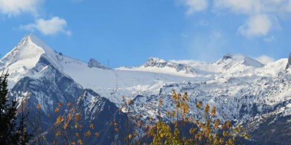 Pensionen - Umgebungsschwerpunkt: Berg - Region Zell am See - Pension Alpentraum