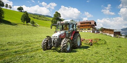Pensionen - Art der Pension: Urlaub am Bauernhof - Mauterndorf (Mauterndorf) - Hoferhof