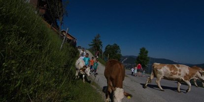 Pensionen - Fahrradverleih - Schladming-Dachstein - Bauernhof Rücklhof