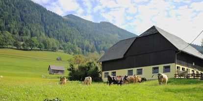 Pensionen - Umgebungsschwerpunkt: See - Aigen im Ennstal - Biolandwirtschaft - Familie Mössner *Landgasthof Pension*