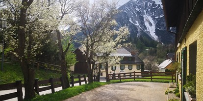 Pensionen - Umgebungsschwerpunkt: Berg - Gaishorn am See - Familie Mössner *Landgasthof Pension*