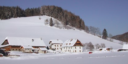 Pensionen - Spielplatz - Wildalpen - Winter - Jakobbauer