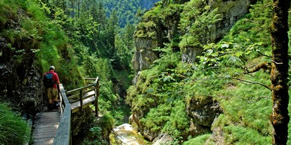 Pensionen - weitere Verpflegungsmöglichkeiten: Mittagessen - Alpenregion Nationalpark Gesäuse - Burnout Wildalps