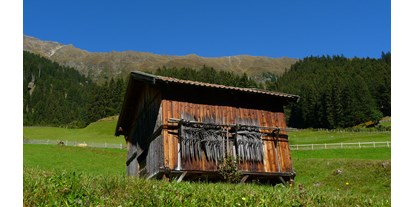 Pensionen - Umgebungsschwerpunkt: Berg - Neustift (Trentino-Südtirol) - herbstliches Oberbergtal 2012 - Haus Sarah