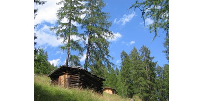 Pensionen - Umgebungsschwerpunkt: am Land - Telfs - von Forchach zur Starkenburgerhütte 2007 - Haus Sarah