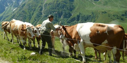 Pensionen - Art der Pension: Urlaub am Bauernhof - Hohe Tauern - Opa beim Leck-füttern. - Panoramapension Platzer