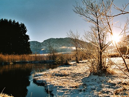 Pensionen - Umgebungsschwerpunkt: See - Naturschutzgebiet "Egelsee" im Winter 5.min vom Margarethengut - Ferienhof Margarethengut