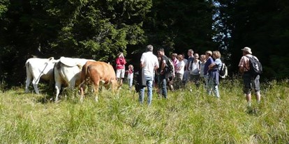 Pensionen - Wanderweg - Oberdrautal - Unsere Kühe auf der Alm. - Waldpension Ranner