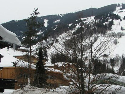 Pensionen - Umgebungsschwerpunkt: Berg - Zell am See - Pension Lederergütl