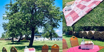 Pensionen - Art der Pension: Gasthaus mit Zimmervermietung - Mauthausen - Gastgarten in der Wiese ( Picknick) - Wirt z´Bairing