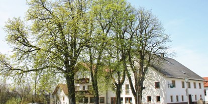 Pensionen - Umgebungsschwerpunkt: am Land - Peilstein im Mühlviertel - Gasthof Pension "Zum Haugstein"